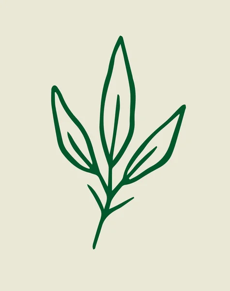 Minimalist Botanic Leaves Vector Design — Stock Vector