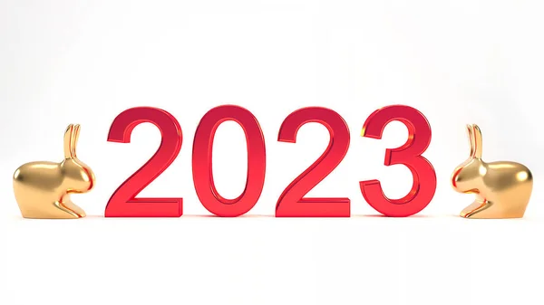Chinesisches Neujahr 2023 Jahr Des Hasenkonzepts Isoliert Auf Weißem Hintergrund — Stockfoto