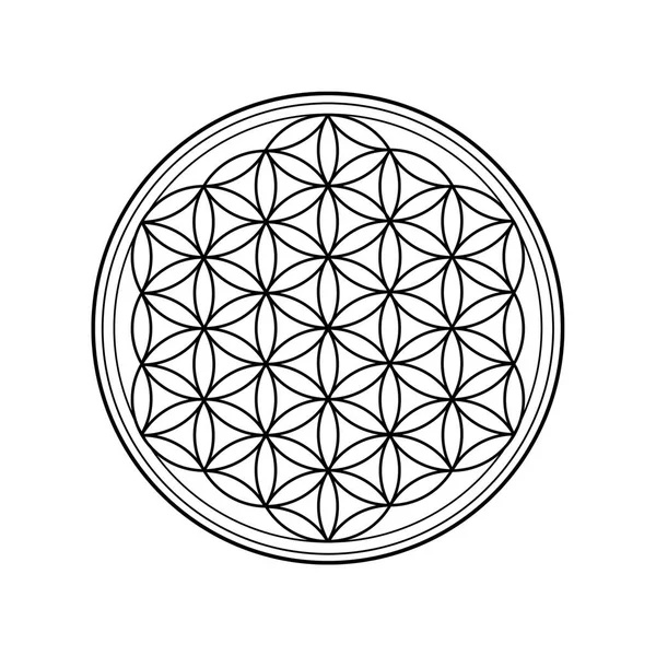 Flower of life symbol isolated on white background. Sacred geometry symbol concept.