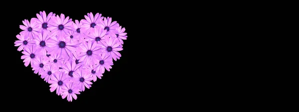 Hjärtat Form Gjord Rosa Pràstkragar Blommor Isolerade Svart Bakgrund Med — Stockfoto