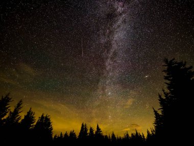 Perseid Meteor yağmuru yıldızlarla dolu renkli gökyüzünde, uzun pozlar, siyah çam ağaçlarının gölgesi. Bu görüntünün elementleri NASA tarafından döşenmiştir. Gürültü ve tahıl dahil.