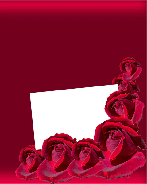 Projeto Conceito Cartão Dia Dos Namorados Com Rosas Vermelhas Cartão — Fotografia de Stock