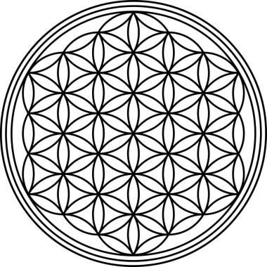 Flower of life symbol isolated on white background. Sacred geometry symbol concept.