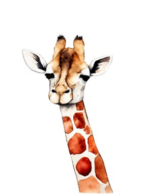 Zürafa suluboya resim çizimi beyaz arka planda izole edilmiş. Bebek zürafa suluboya sanatı bebek baskısı için.