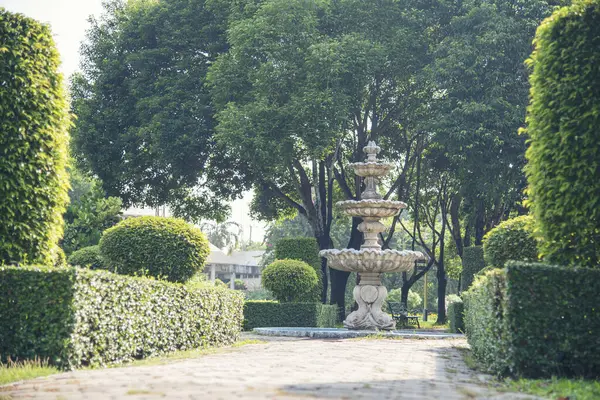 Paris green park Fountain in the park with hard sun light. Paris Garden with fountain and green bush in the morning. Blurred background nature park fountain scenic pathway.