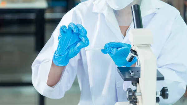 Close up Scientist woman hands look at Glass Petri Dish use Microscope research in science laboratory. Crop women hands biochemistry scientist using fungi Glass Petri Dish in laboratory chemistry lab