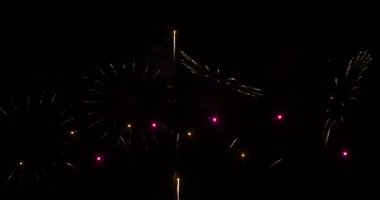 Yeşil Havai fişekler yeni yıl yıldönümünü kutluyor. 4 Temmuz bayram festivali. Gece vakti yeşil havai fişekler ulusal bayramı kutluyor. Yeni yıla geri sayım 2024 festival parti zamanı etkinliği