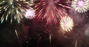 Red Firework, yeni yıl dönümünü kutluyor. 4 Temmuz bayram festivali 2024. Gece vakti kırmızı havai fişekler ulusal bayramı kutluyor. Yeni yıla geri sayım 2023 festival partisi zamanı etkinliği