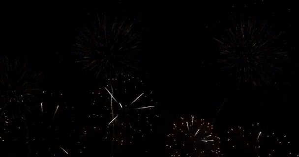 Πολύχρωμο Ζωντανό Πυροτέχνημα Γιορτάζουν Επέτειο Ευτυχισμένο Νέο Έτος 2023 Ιουλίου — Αρχείο Βίντεο