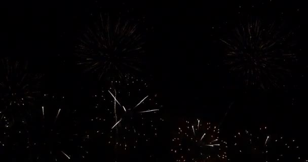Zelený Ohňostroj Slaví Výročí Šťastný Nový Rok 2024 Červencový Sváteční — Stock video