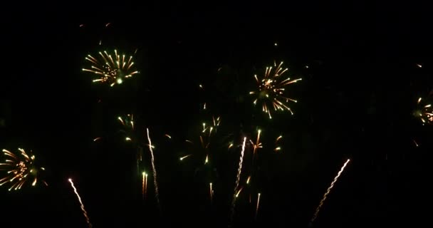 Πράσινο Πυροτέχνημα Γιορτάζουν Την Επέτειο Ευτυχισμένο Νέο Έτος 2024 Ιουλίου — Αρχείο Βίντεο