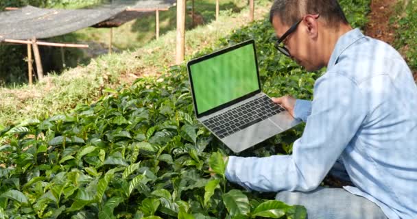 智能农民使用笔记本电脑进行生态绿色农场可持续质量控制 关闭手动打字笔记本电脑质量控制工厂树 农民手工操作生态农业生物技术 — 图库视频影像