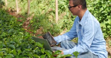 Çevresel yeşil çiftlikte sürdürülebilir kalite kontrolde dizüstü bilgisayar kullanan zeki bir çiftçi. El bilgisayarı bilgisayar kalite kontrol ağacını kapat. Çiftçilerin elleri eko tarım arazisi biyoteknolojisinde teknolojiyi kullanıyor.