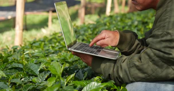 智能农民使用笔记本电脑进行生态绿色农场可持续质量控制 关闭手动打字笔记本电脑质量控制工厂树 农民手工操作生态农业生物技术 — 图库视频影像