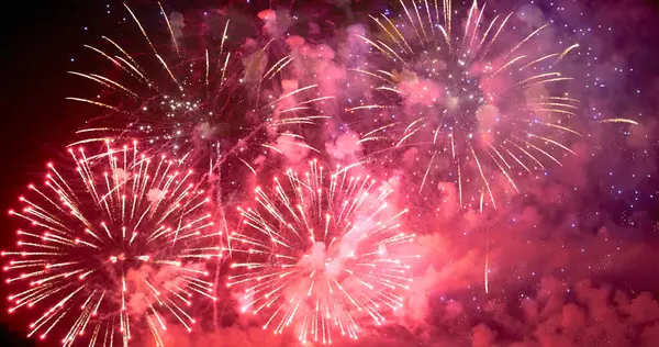 Purple Firework Celebrate Anniversary Happy New Year 2024 4Th July — Stock Photo, Image