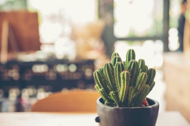 Ahşap masa arkasında içi kullanım tahtası için boş afişi olan kaktüs. Geçmişi bulanık ürün mobilya masasını göster. Ürün gösterim afişini kopyalama alanı ile sunmaya hazır