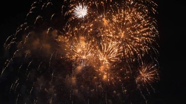 Golden Firework celebrate anniversary independence day night time celebrate national holiday. Countdown to new year 2023 party time event. Happy new year 2023, 4th of july holiday festival concept