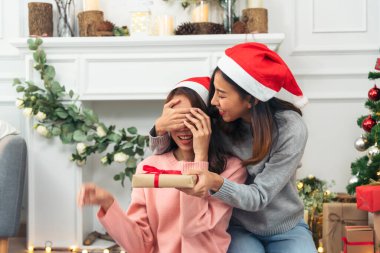 Noel ağacı süslemesi yapan iki kadın kardeş. Kırmızı top, takı, kar tanesi. Kırmızı topu tutan elleri kapatın. Mücevher süsleme. Asyalı kadın arkadaşlar, dekorasyon balosu, Noel ağacı, Noel tatili.