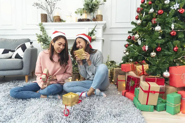 Noel ağacı süslemesi yapan iki kadın kardeş. Kırmızı top, takı, kar tanesi. Kırmızı topu tutan elleri kapatın. Mücevher süsleme. Asyalı kadın arkadaşlar, dekorasyon balosu, Noel ağacı, Noel tatili.