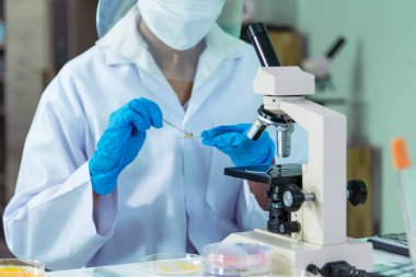 Close up Scientist woman hands look at Glass Petri Dish use Microscope research in science laboratory. Crop women hands biochemistry scientist using fungi Glass Petri Dish in laboratory chemistry lab
