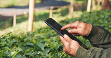 Smart farmer holding smartphone in eco green farm sustainable quality control. Close up Hand control planting tree. Farmer hands cultivated fresh garden in eco biotechnology. Farmland technology clipart