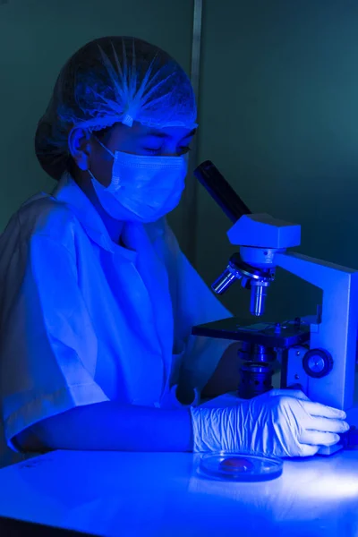 Vertical Scientist women in lab look at science microscope medical test researching biology chemistry with blue light black background. Male technician laboratory analyze Chemistry Medical research