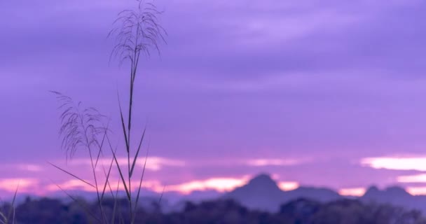 Timelapse Zonsondergang Berg Violet Paarse Hemel Prachtig Landschap Mist Schemering — Stockvideo