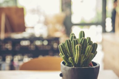 Ahşap masa arkasında içi kullanım tahtası için boş afişi olan kaktüs. Geçmişi bulanık ürün mobilya masasını göster. Ürün gösterim afişini kopyalama alanı ile sunmaya hazır