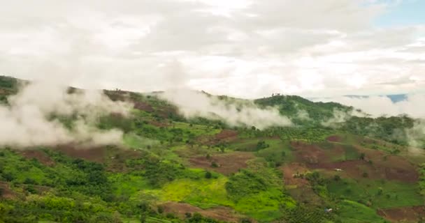 Timelapse Montaña Paisaje Niebla Viento Cordillera Verde Paisaje Asiático Granja — Vídeos de Stock