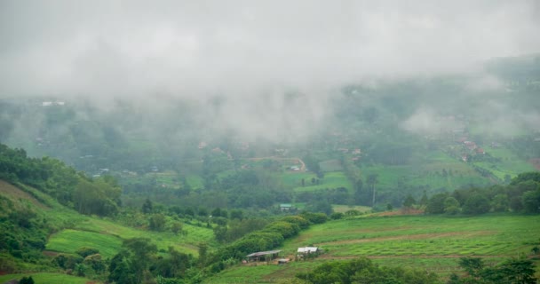 Timelapse Montaña Paisaje Niebla Viento Cordillera Verde Paisaje Asiático Granja — Vídeos de Stock