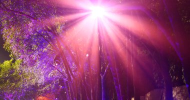 Pembe mor Bokeh soyut arka planda bulanık kırmızı ışık arabası yol üzerinde parıltılı dairesel animasyon hareketi 3D. Modern şehirde yanıp sönen parlak ışıklı arka plan