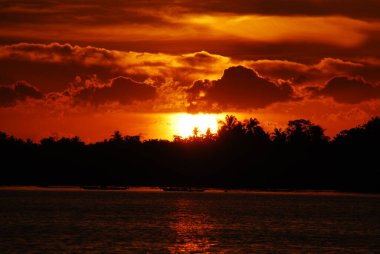 Günbatımında tropikal inanılmaz dramatik altın gökyüzü manzaralı nehir kıyısı okyanusu üzerinde. Siluet sükunet mevsimi vahşi doğa huzur manzarası. Sakin göl kırsalında güneş doğarken deniz kıyısında yansıma