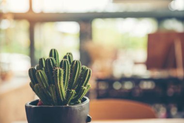 Ahşap masa arkasında içi kullanım tahtası için boş afişi olan kaktüs. Geçmişi bulanık ürün mobilya masasını göster. Ürün gösterim afişini kopyalama alanı ile sunmaya hazır