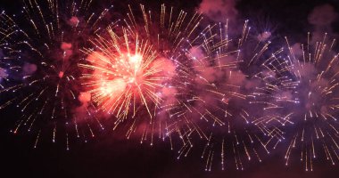 Mor Havai fişekler yıldönümünü kutluyor. Mutlu yıllar 2024, 4 Temmuz bayram festivali. Gece vakti mor havai fişekler ulusal bayramı kutluyor. 2024 Yeni Yıl Festivali için Violet havai fişek geri sayımı