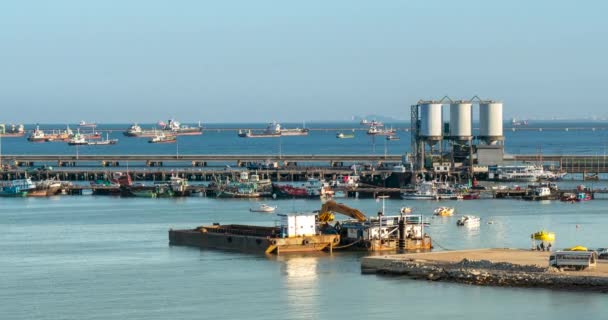 Time Lapse Logistic Shipping Quay Boat Depósito Grúa Ingeniería Control — Vídeos de Stock