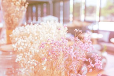 Pink Pastel flower floral soft nature blossom blurred background. Vintage retro romance plum botanical bloom spring season. Blurry Cherry blossom petals plant in beautiful garden. Backdrop template