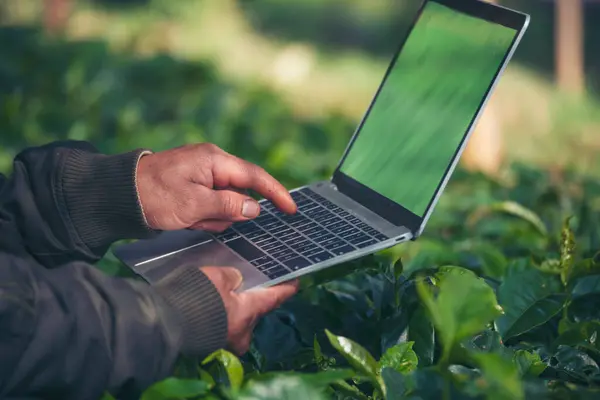 stock image Smart farmer using laptop in eco green farm sustainable quality control. Close up Hand typing laptop computer quality control plant tree. Farmer hands using technology in eco Farmland biotechnology