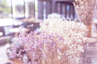 Pink Pastel flower floral soft nature blossom blurred background. Vintage retro romance plum botanical bloom spring season. Blurry Cherry blossom petals plant in beautiful garden. Backdrop template