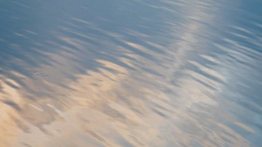 Su berrak yüzey efekti sıvı arkaplan tasarımı deseni soyut dalga su yüzey arkaplanı. Sakin doğa yansıması