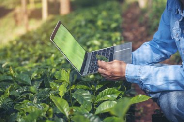 Akıllı çiftçi elleri laptopun yeşil çiftliğini sürdürülebilir kalite kontrol olarak kullanıyor. El bilgisayarı bilgisayar kalite kontrol ağacını kapat. Çiftçi teknoloji kullanarak eko tarım arazisi biyoteknolojisini kontrol ediyor