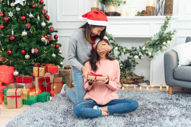 Noel ağacı süslemesi yapan iki kadın kardeş. Kırmızı top, takı, kar tanesi. Kırmızı topu tutan elleri kapatın. Mücevher süsleme. Asyalı kadın arkadaşlar, dekorasyon balosu, Noel ağacı, Noel tatili.