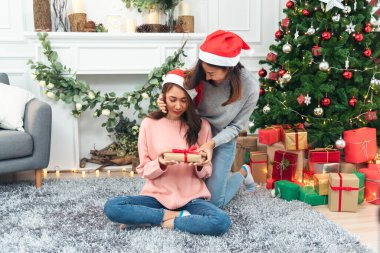 Noel ağacı süslemesi yapan iki kadın kardeş. Kırmızı top, takı, kar tanesi. Kırmızı topu tutan elleri kapatın. Mücevher süsleme. Asyalı kadın arkadaşlar, dekorasyon balosu, Noel ağacı, Noel tatili.