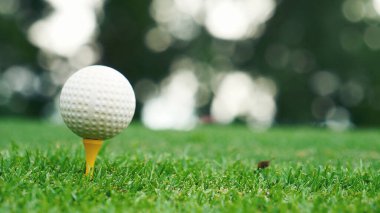 Golf topu yeşil golf sahasında, spor antrenman sahasında. Golf Turnuvasında Tee ve Top Spor Ekipmanları.