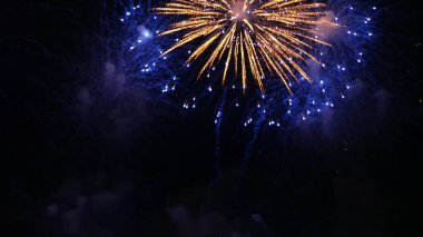 Mor Havai fişekler yıldönümünü kutluyor. Mutlu yıllar 2024, 4 Temmuz bayram festivali. Gece vakti mor havai fişekler ulusal bayramı kutluyor. 2024 Yeni Yıl Festivali için Violet havai fişek geri sayımı