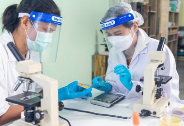 Takım arkadaşı olarak çalışan bilim adamı kadın bilim laboratuarındaki mikroskop araştırmalarına bakıyor. İki Asyalı bilim adamı mikrobiyoloji mikroskop kimya laboratuvarı ekipmanı kullanıyor. Biyokimya araştırmacısı