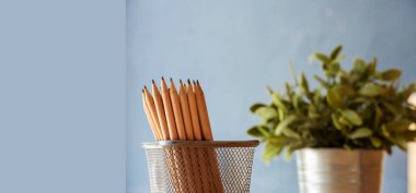 Pankart saksısı, kalem keskinliği, ofis dekorasyonu, ahşap masa. Yeşil dekore edilmiş ofis masası. Ahşap ofis masasındaki yeşil saksı vazosu kalem kutusu ofisini fotokopi alanı ile dekore et.