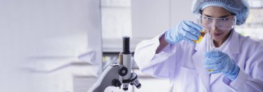 Banner Scientist kadın elinde kimyasal test sarı cam tüp bilim laboratuvarı test tüpü tutuyor. Laboratuvar teknisyeni elinde altın sıvısı damlatan cam tüp idrar örneği tutuyor. Kopya alanı olan Asyalı kadın bilim adamı