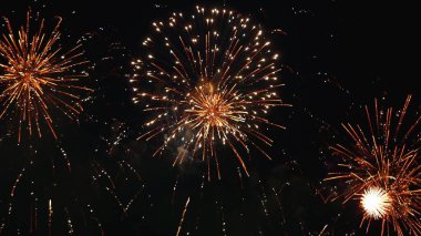 Altın Havai fişek, ulusal bayramı kutlamak için yıldönümünü kutluyor. 2024 yılına geri sayım, parti zamanı. Mutlu yıllar 2025, 4 Temmuz bayram festivali konsepti.