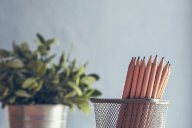 Ahşap masaya kalem keskinliğinde ofis dekorasyonu dikin. Yeşil dekore edilmiş ofis masası. Ahşap ofis masasındaki yeşil bitki vazosu kalem kutusu, çiçek saksısı ev ofisinin dekorasyon masası.