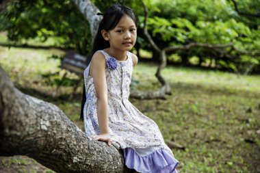 Yeşil parkta dinlenen Asyalı Kadın portresi. Mutlu, sakin Asyalı kadın bahçede gülümsüyor. Genç kadınlar doğa özgürlüğünün tadını çıkarıyorlar. Yeşillik, doğadaki güzelliğin dışındadır..